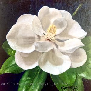 Magnolia flower 1
