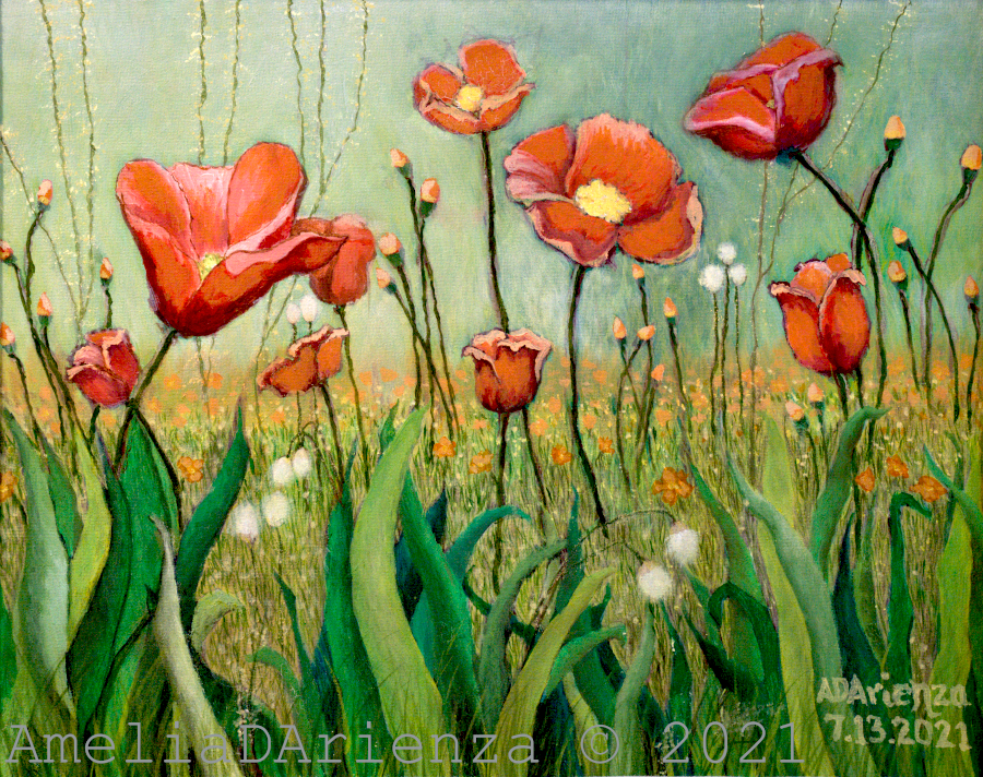 Poppy Flowers - Small Prayers of Joy