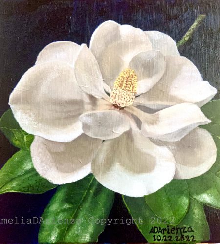 Magnolia Flower 1_Ds01